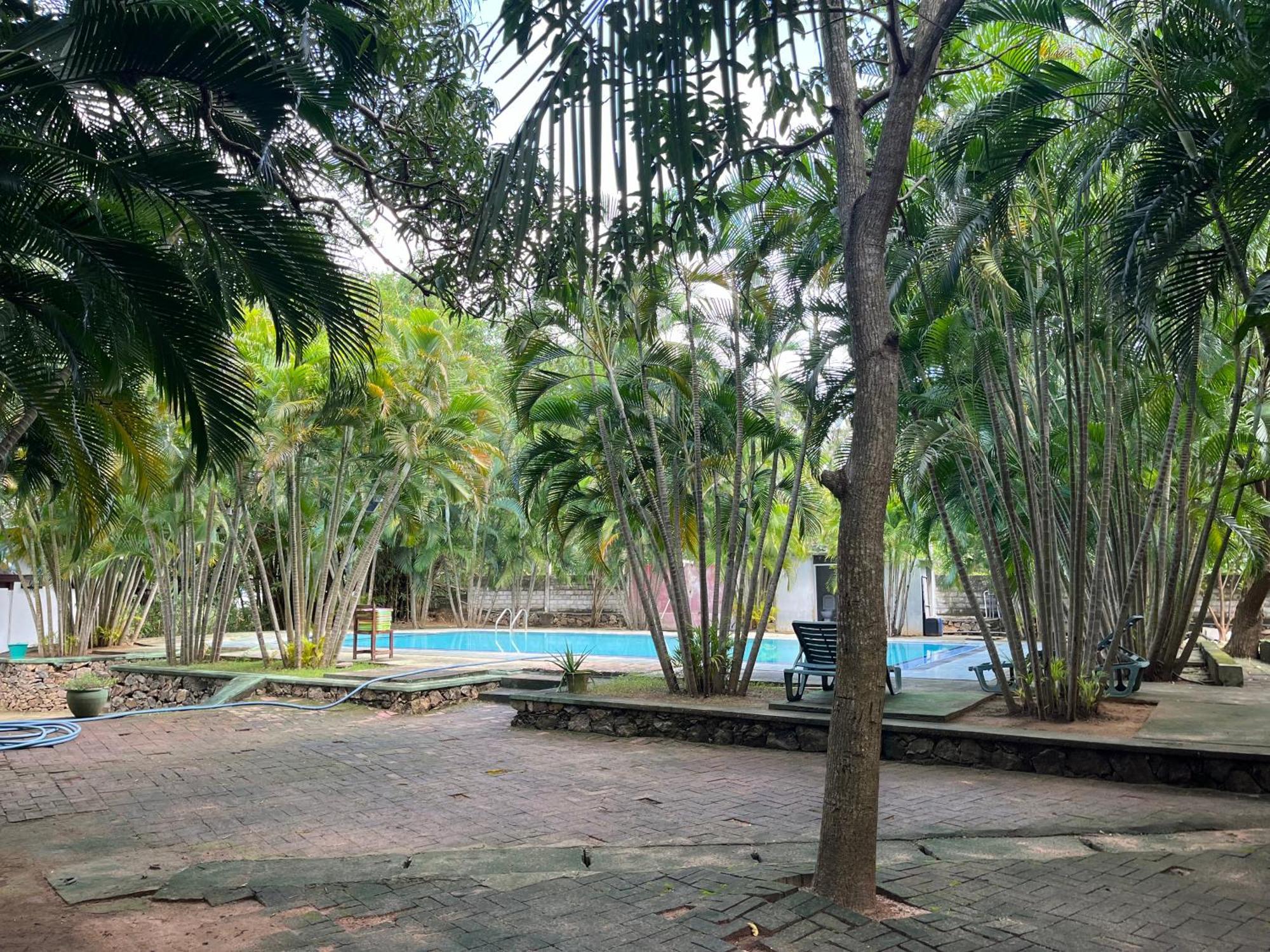 Royal Green Garden - Puttalam Buitenkant foto